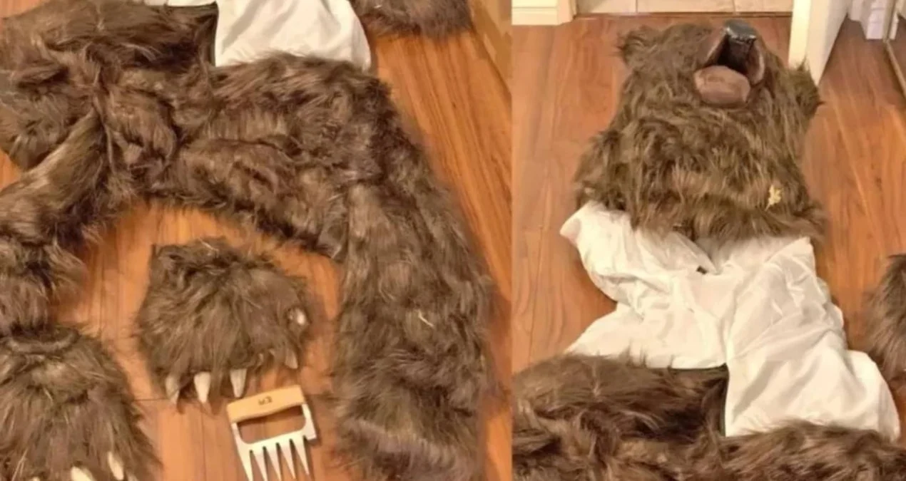 “Ayı Hücumu” Dələduzluğu: Kaliforniyada Milyonluq Sığorta Fırıldağı Ortaya Çıxdı