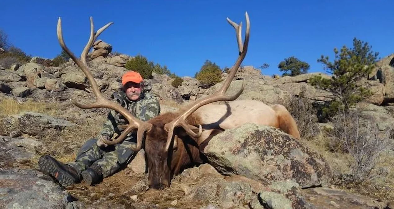 Milyoner Erni Dosio Gabonda fil hücumunun qurbanı oldu: Ov faciə ilə bitdi