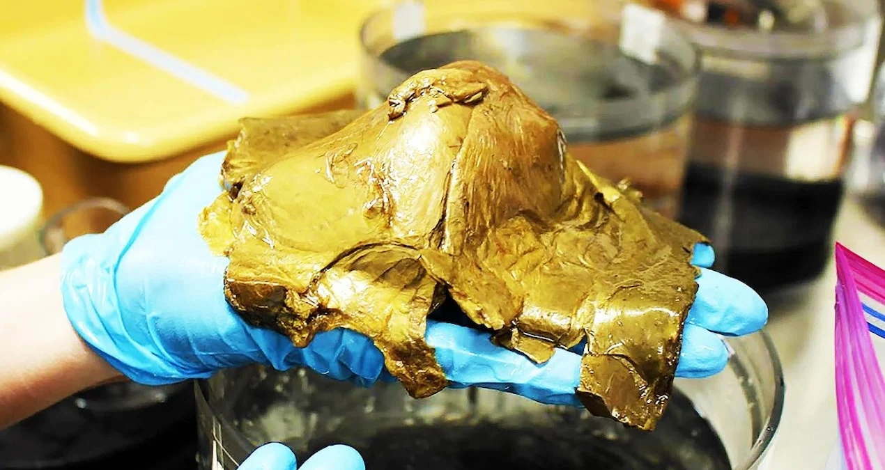 Okeanın Dərinliklərindəki Sirli Qızıl Kürənin Pərdəsi Açıldı: Alimlər Şok Kəşfin Sirlərini Çözdü