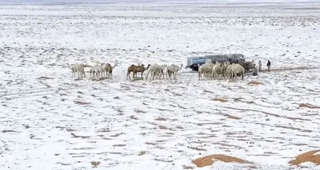 Səudiyyə Ərəbistanında Şaşırtan Mənzərələr: Riyadı Dolu Vurdu, Çöllər Ağappaq Oldu