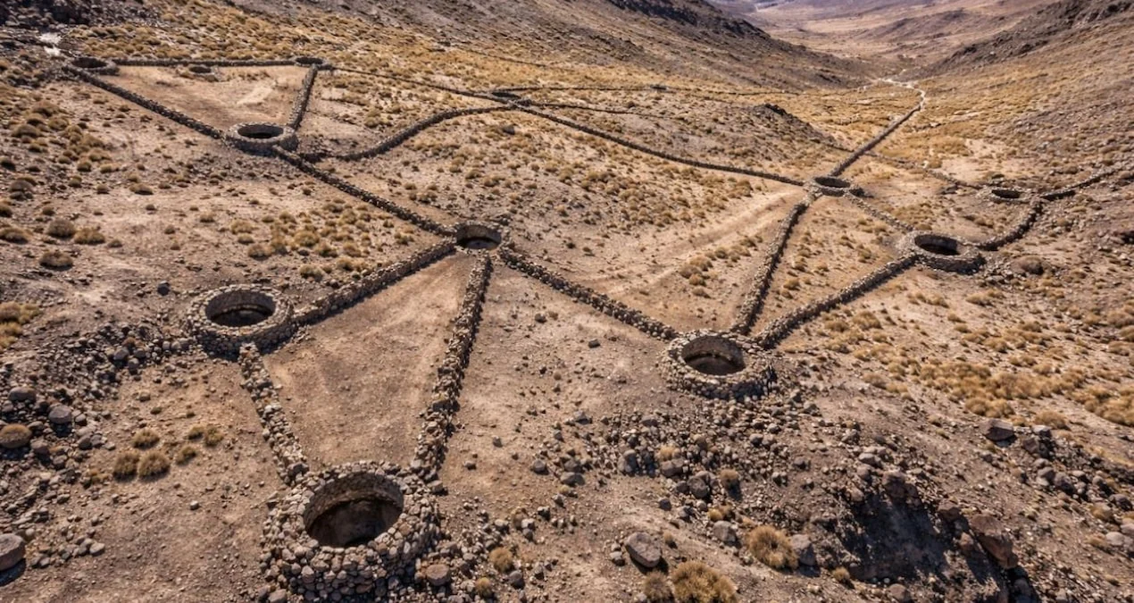 Cənubi Amerikada Əsrlər Boyu Gizli Qalan Nəhəng Ov Sistemi Kəşf Edildi