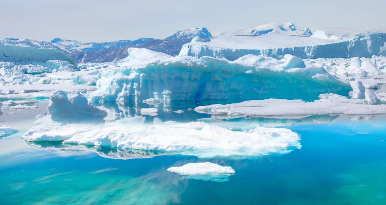 Antarktikada Böyük Kəşf: Buzların Altından 90 Milyon İllik Kəhrəba Tapıldı – Qədim Meşələrin Sübutu
