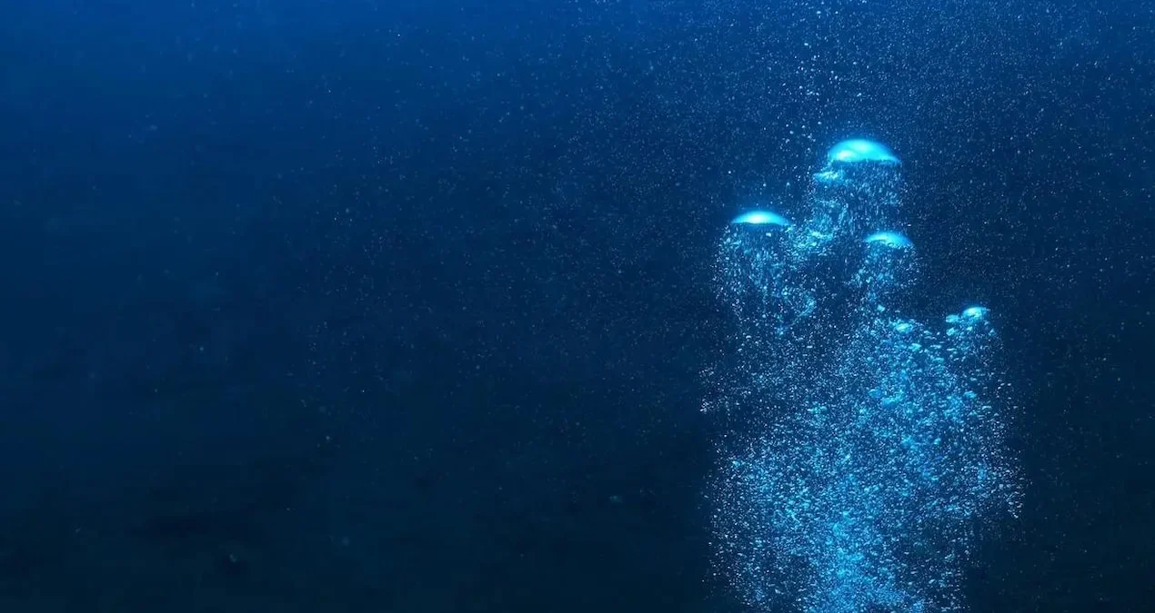 Okeanın Sirli Sakini: 150 İldir Canlı Görünməyən 9 Mədəli Nəhəng Balina