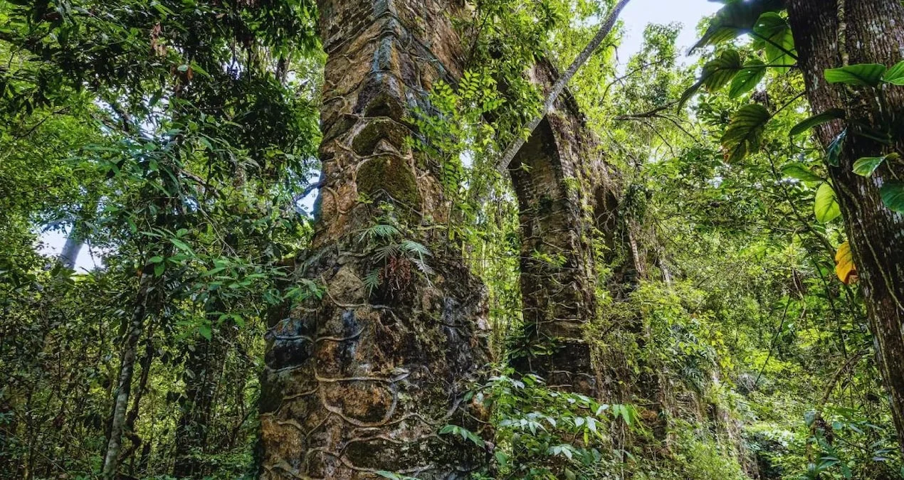 Rumıniyada 5000 illik sirr üzə çıxdı: Təbiətin gizlətdiyi qədim qala tapıldı