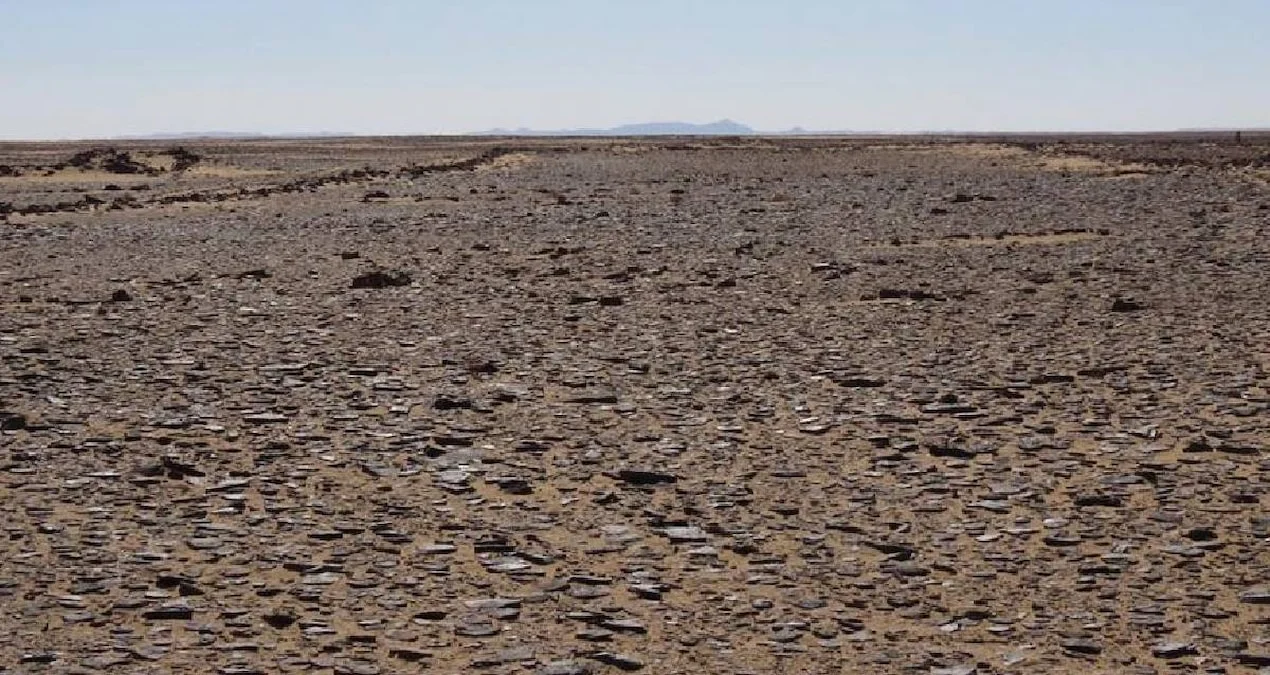 Səudiyyə Ərəbistanında 7000 İllik Sirli Mustatil Tikililəri Tapıldı