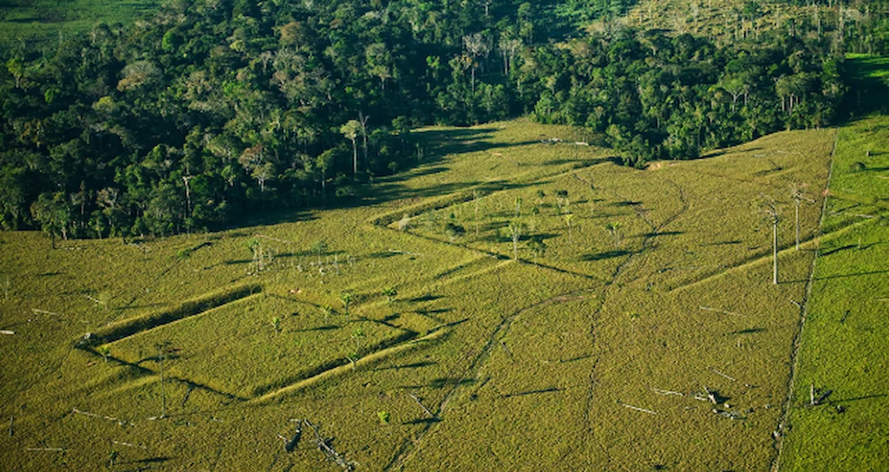 Əfsanəvi ‘İtmiş Z Şəhəri’nin Sirləri Açıldı: LİDAR Texnologiyası Tarixi Yenidən Yazır