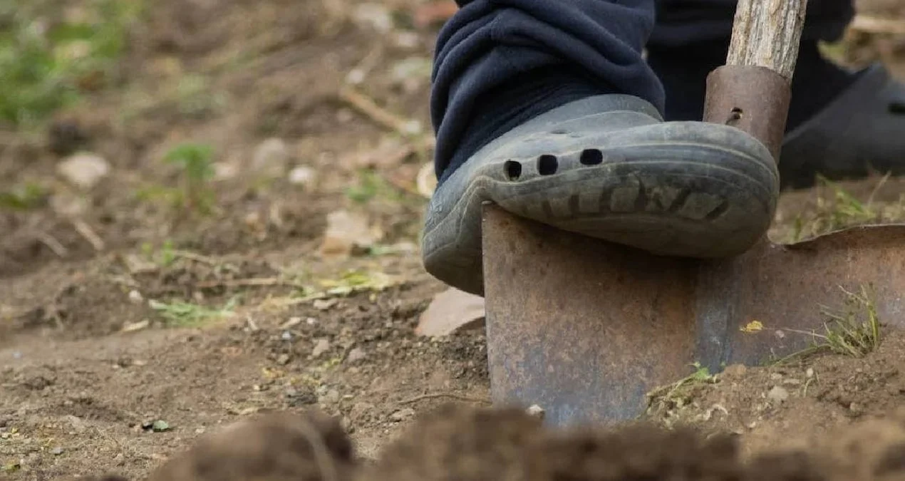 Bağda Qazıntı Zamanı 17 Kukla Tapıldı: Torpağın Altından Dəhşətli Sirr Üzə Çıxdı