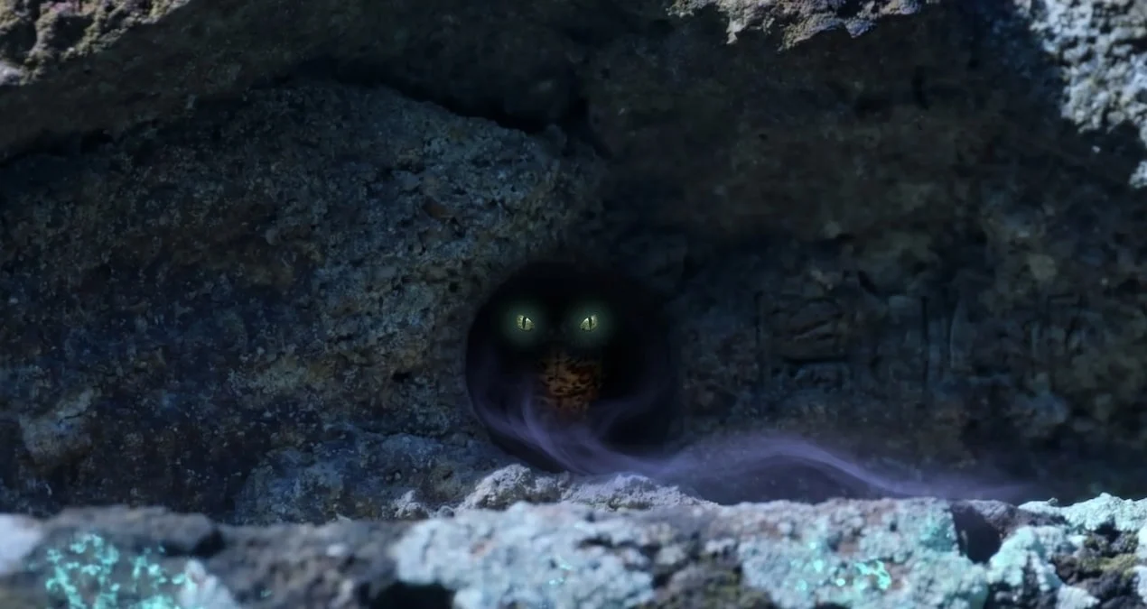 Dünyanın ən nadir sürünəni illər sonra tapıldı: Avstraliyada sirli kəşf