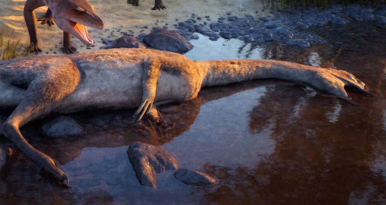 76 illik sirr açıldı: ‘Ağlayan Sübh Timsahı’ təkamül tarixini dəyişir