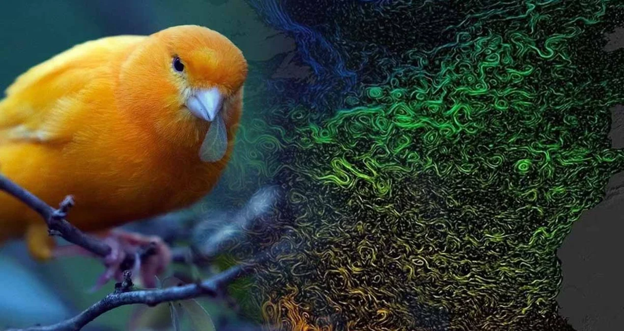 Atlantik cərəyanları sürətlə zəifləyir: Dünya iqlimi geri dönməz xaosa sürüklənir