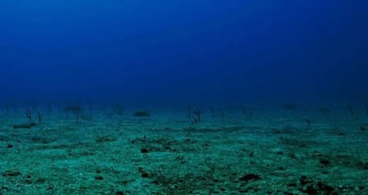 Sakit Okeanın Dibində 3 Milyon İllik Nadir Sualtı Vulkan Kəşf Edildi