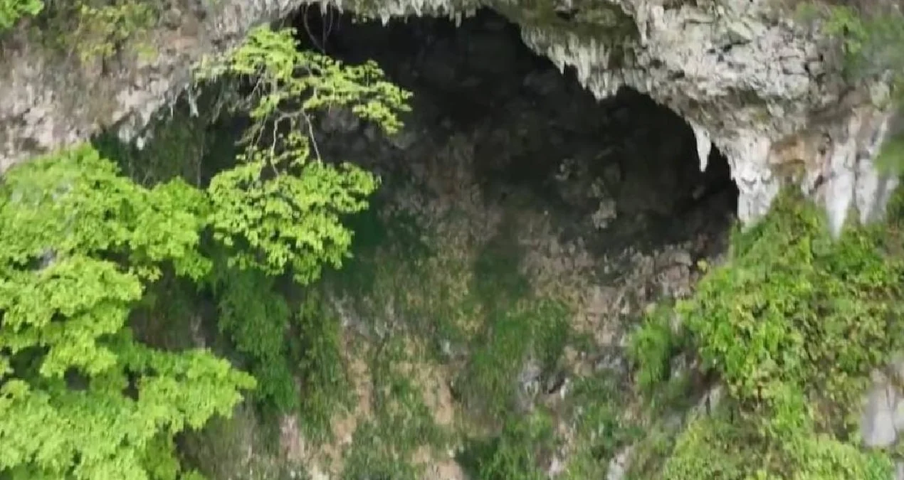 Çində Yerin Dərinliklərində Sirli Nəhəng Meşə Aşkar Edildi