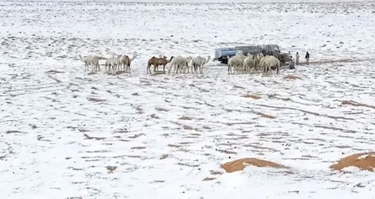 Səudiyyə Ərəbistanında İqlim Şoku: Çöllər Dolu ilə Ağ Örtüyə Büründü!