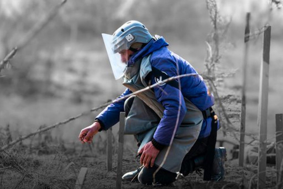Şəhid Minatəmizləyənlərin Ailələrinə Mühüm Dəstək: Aylıq Gəlir 400 Manat Azaldılacaq