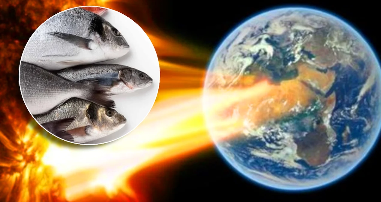 Günəş Fırtınası Dünyanı Ağuşuna Aldı: Ekspertlər ‘Balıq Yeyin’ Çağırışı Etdi!