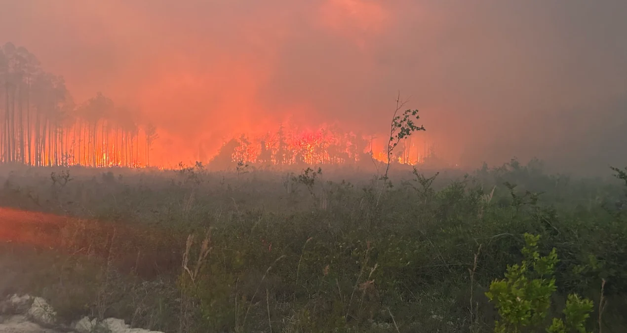 ABŞ-da meşə yanğınları: Yüzlərlə ev külə döndü