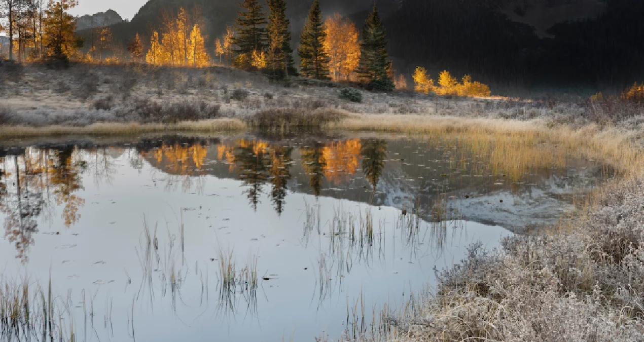Antarktida: -50°C Şaxtada Donmayan Gölün Sirri Açıqlandı
